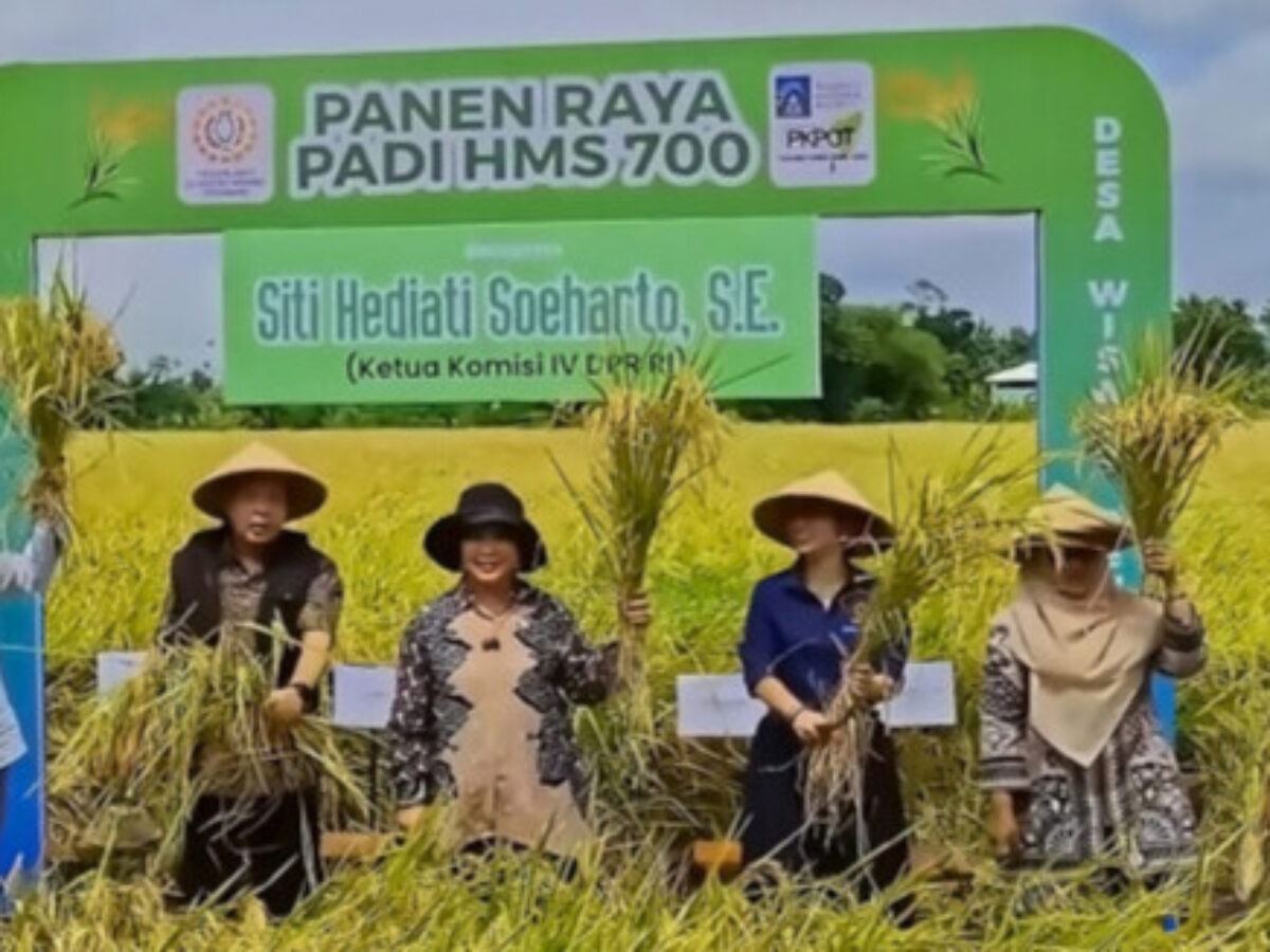 ​Perkuat Ketahanan Pangan, Titiek Soeharto Harapkan Pengelolaan Lahan  Dilakukan Optimal Dan Berkelanjutan.