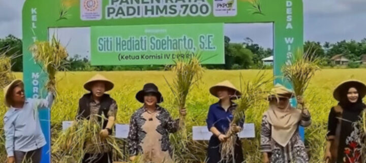 ​Perkuat Ketahanan Pangan, Titiek Soeharto Harapkan Pengelolaan Lahan  Dilakukan Optimal Dan Berkelanjutan.