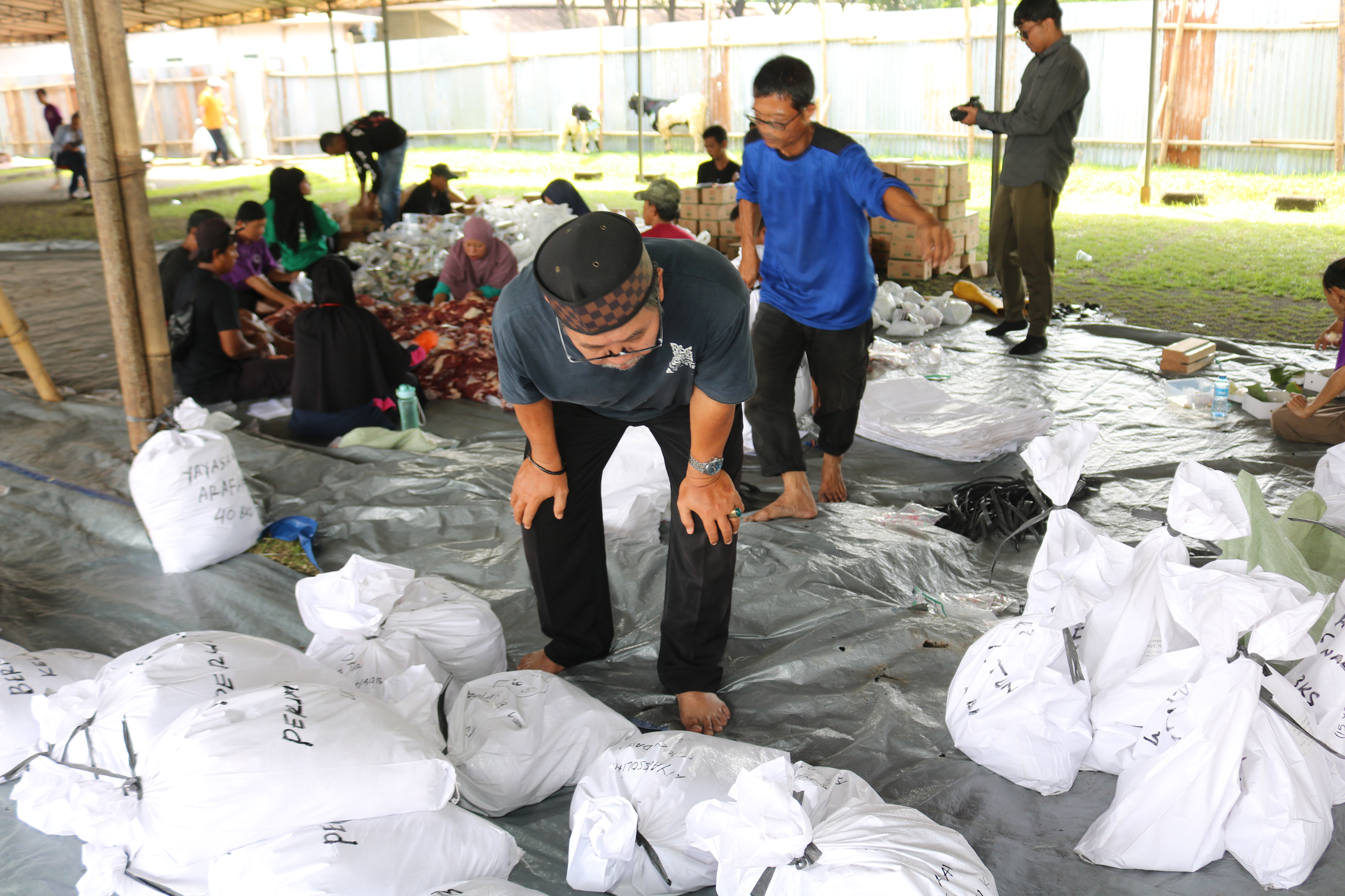 Qurban At Tin